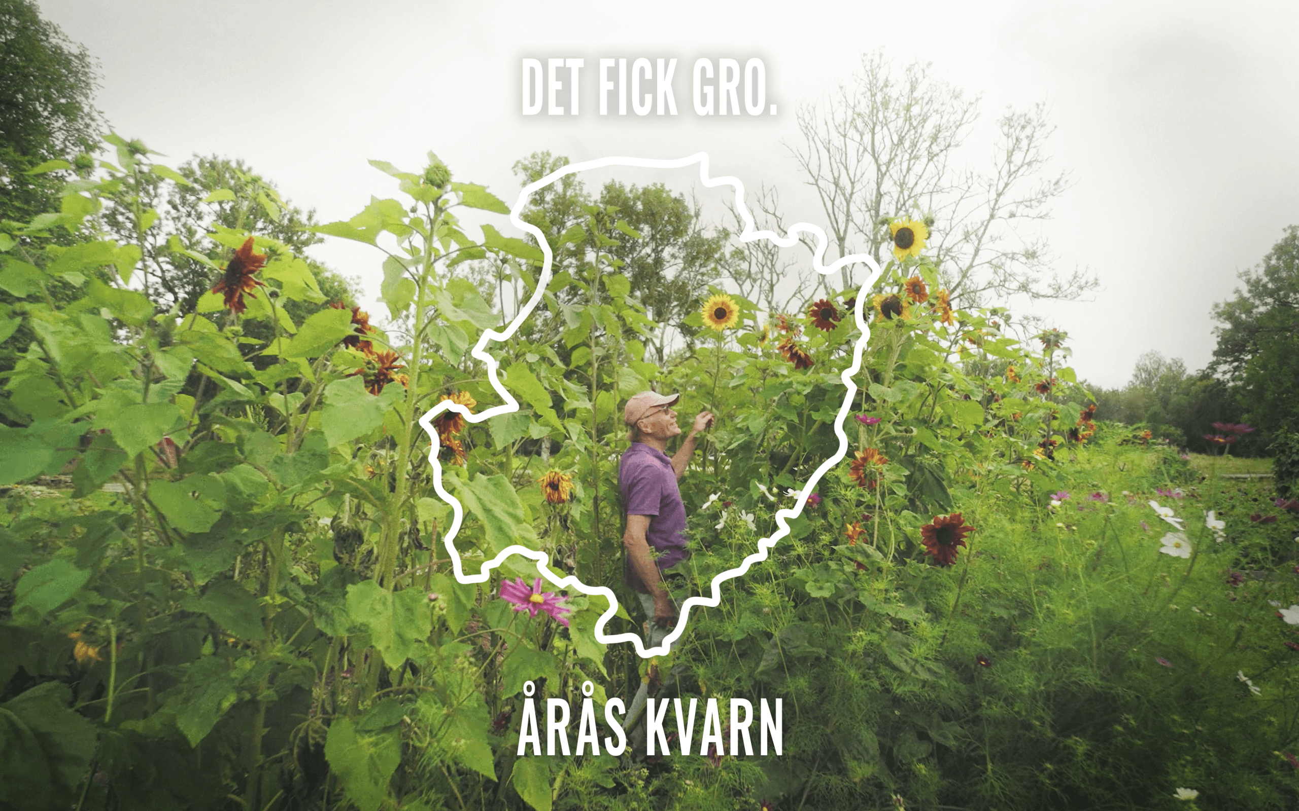 DET FICK GRO - Årås Kvarn