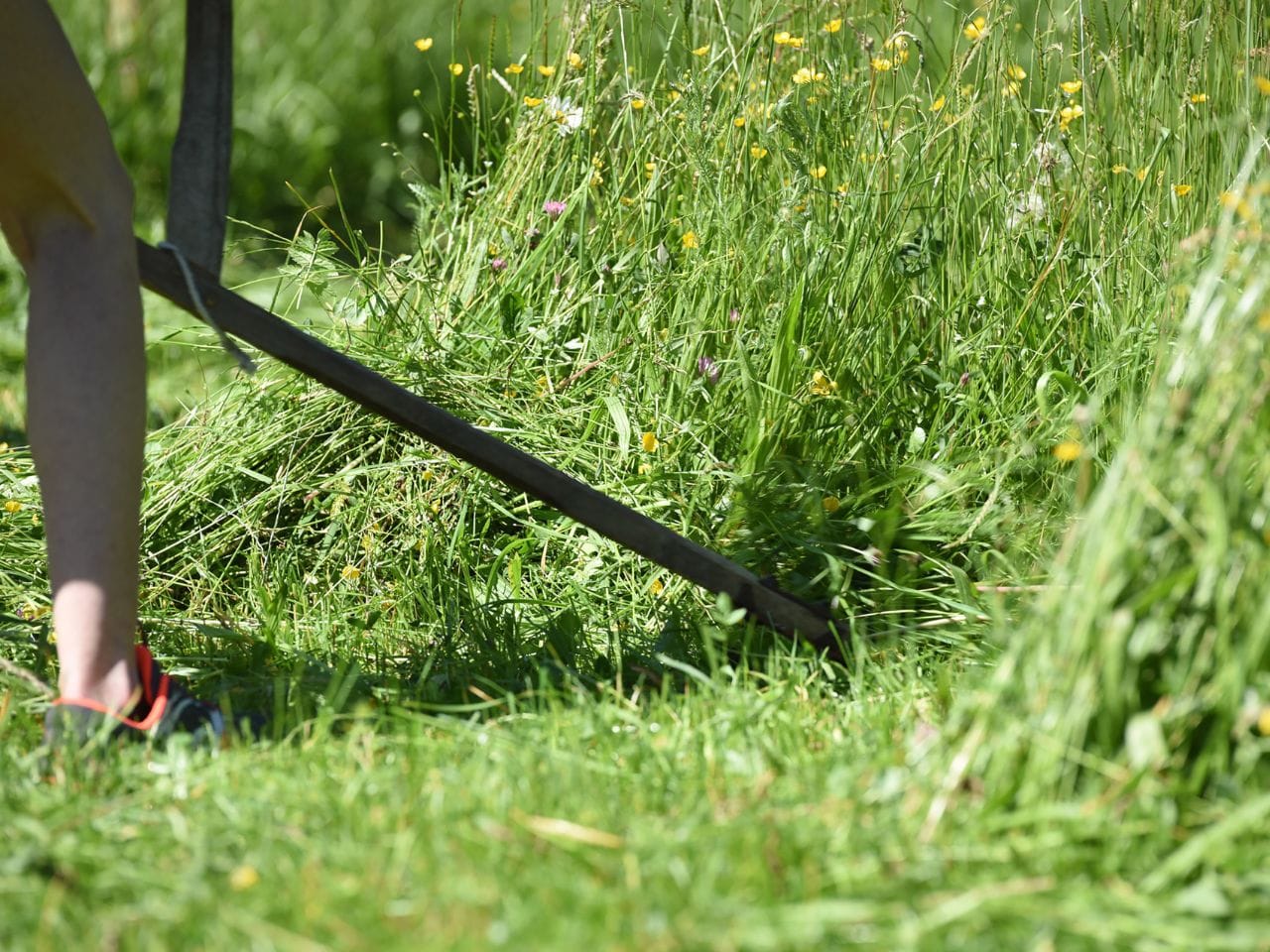 Bild på ett antal glödlampor i mörker.