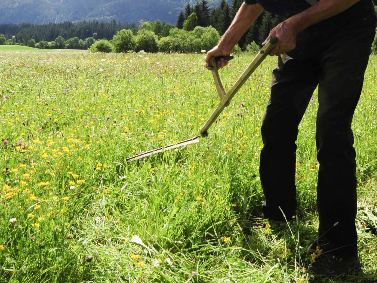 Bild på ett antal glödlampor i mörker.