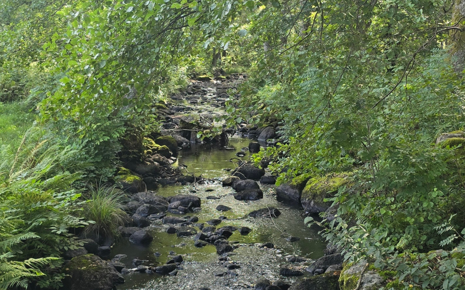 image water