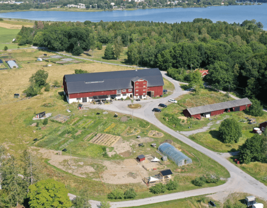 Flygbild över Öråker gård och grönsaksodlingarna, Mälaren i bakgrunden.
