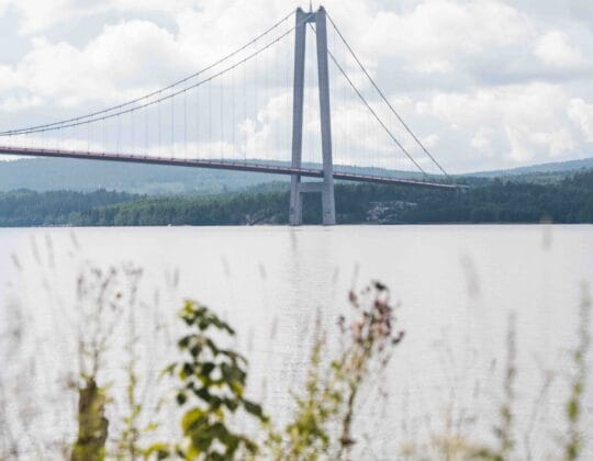 Bild på Höga Kustenbron